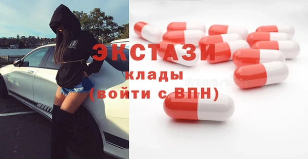 стаф Алзамай