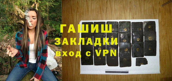 стаф Алзамай