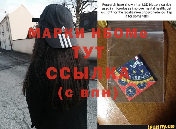 стаф Алзамай