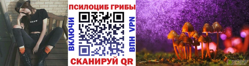 Галлюциногенные грибы мицелий  Каргат 